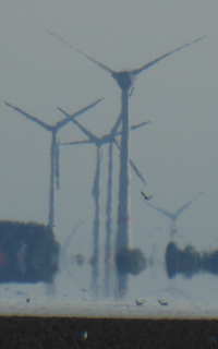 Dieses Bild ist für das Verständnis des Textes nicht wichtig. Das Bild wird im Text nicht erwähnt.