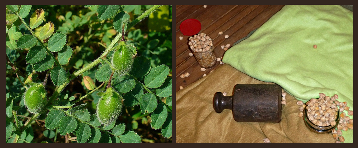 Bildbeschreibung und Urheberrecht