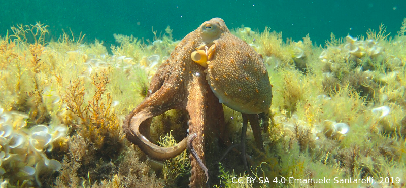 Dieses Bild ist für das Verständnis des Textes nicht wichtig. Das Bild wird im Text nicht erwähnt.