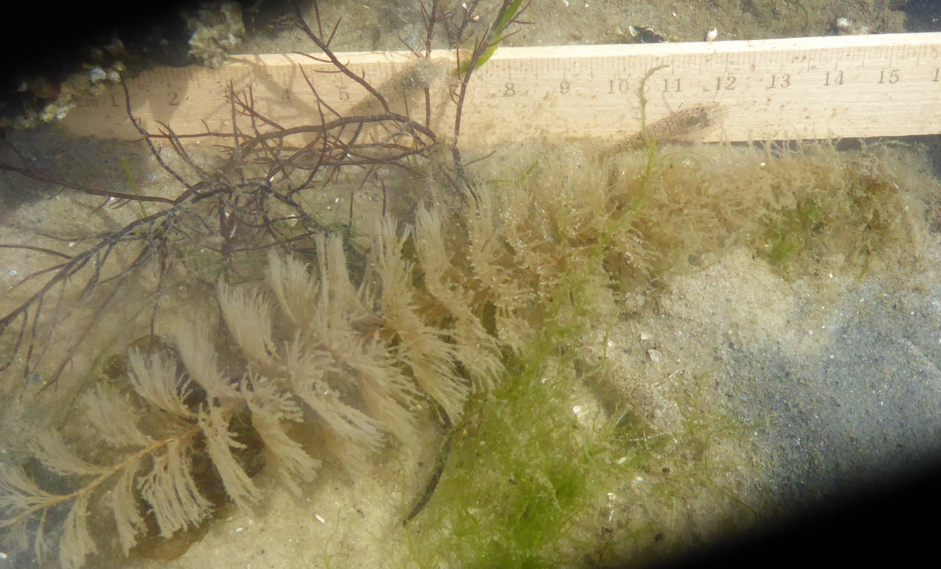 Bildbeschreibung und Urheberrecht