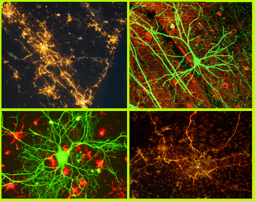 Dieses Bild ist für das Verständnis des Textes nicht wichtig. Das Bild wird im Text nicht erwähnt.